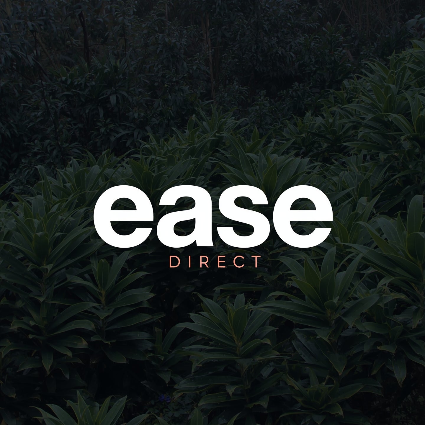 Ease Direct